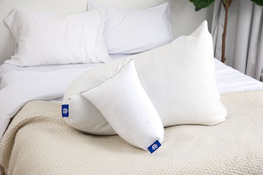 Signature Queen Pillow